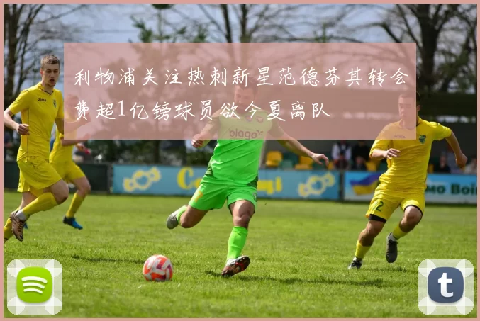 利物浦关注热刺新星范德芬其转会费超1亿镑球员欲今夏离队