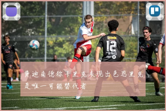 费迪南德称卡里克表现出色恩里克是唯一可能替代者